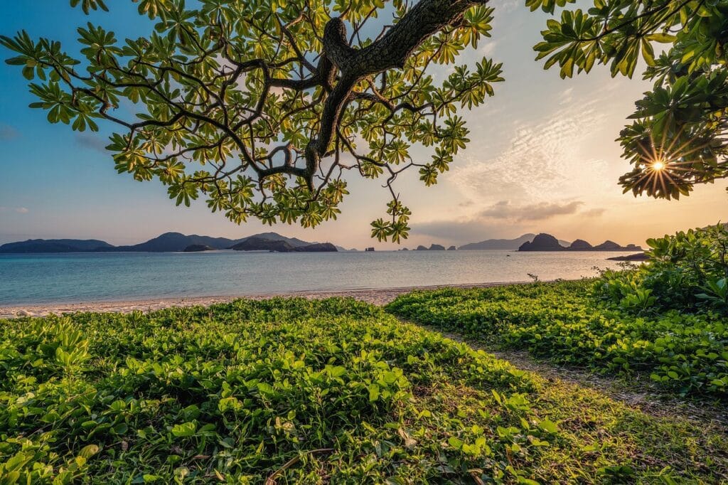 Paisaje de Playa