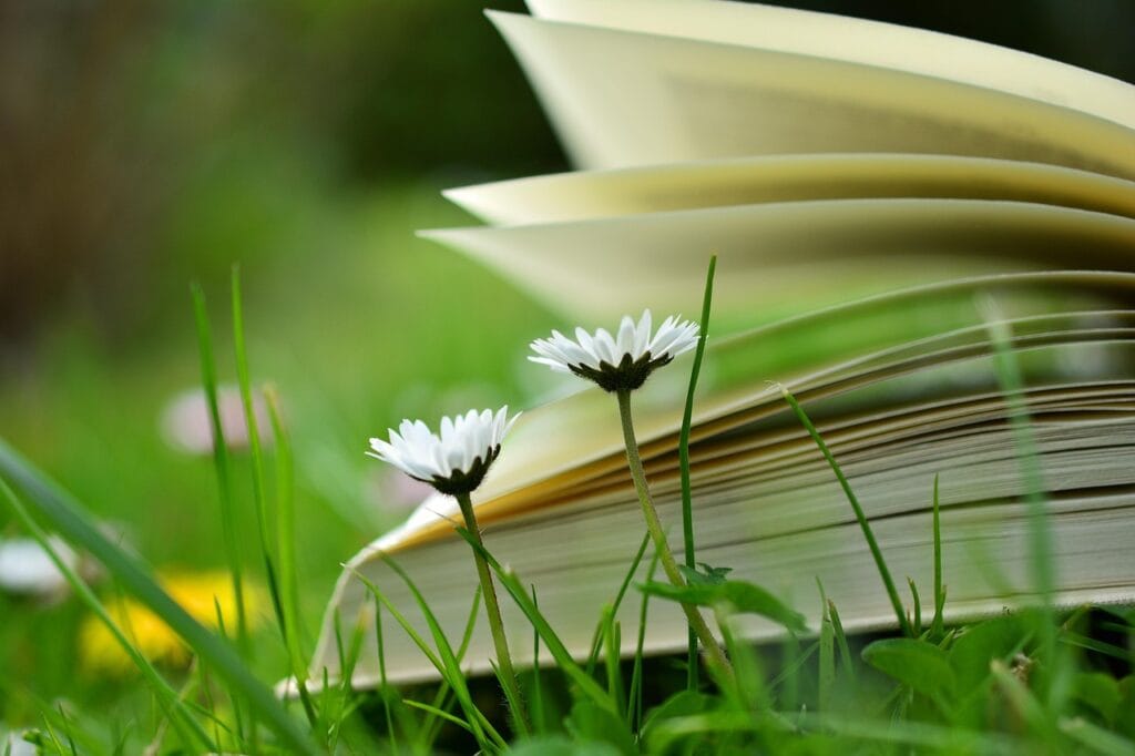Lectura en el pasto